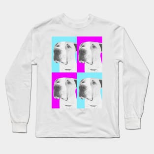 American Bulldog cross in Pink and Blue Long Sleeve T-Shirt